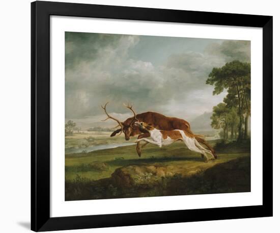 Hound Coursing a Stag-George Stubbs-Framed Premium Giclee Print