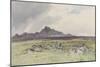 Hound Tor , C.1895-96-Frederick John Widgery-Mounted Giclee Print