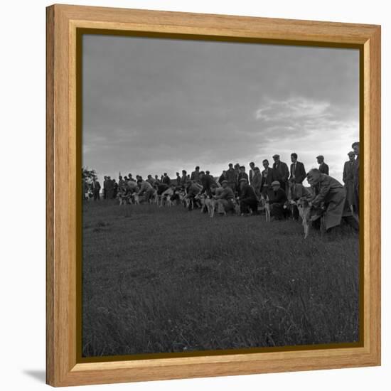 Hound Trailing, One of Cumbrias Oldest and Most Popular Sports, Keswick, 2nd July 1962-Michael Walters-Framed Premier Image Canvas