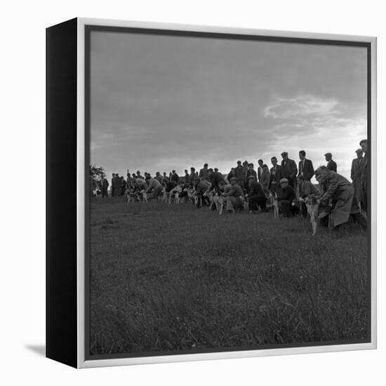 Hound Trailing, One of Cumbrias Oldest and Most Popular Sports, Keswick, 2nd July 1962-Michael Walters-Framed Premier Image Canvas