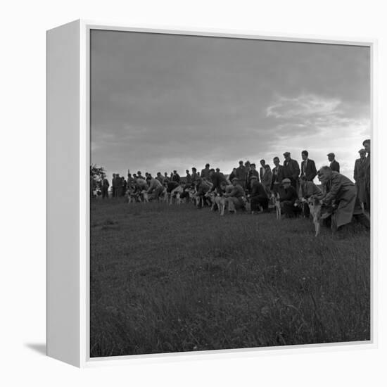 Hound Trailing, One of Cumbrias Oldest and Most Popular Sports, Keswick, 2nd July 1962-Michael Walters-Framed Premier Image Canvas