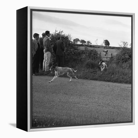 Hound Trailing, One of Cumbrias Oldest and Most Popular Sports, Keswick, 2nd July 1962-Michael Walters-Framed Premier Image Canvas