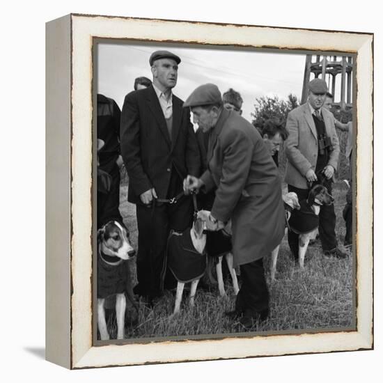 Hound Trailing, One of Cumbrias Oldest and Most Popular Sports, Keswick, 2nd July 1962-Michael Walters-Framed Premier Image Canvas