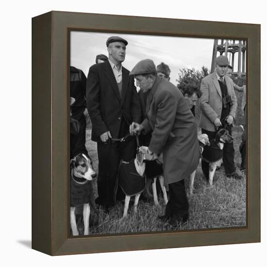 Hound Trailing, One of Cumbrias Oldest and Most Popular Sports, Keswick, 2nd July 1962-Michael Walters-Framed Premier Image Canvas