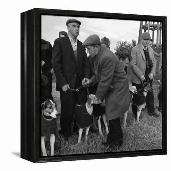 Hound Trailing, One of Cumbrias Oldest and Most Popular Sports, Keswick, 2nd July 1962-Michael Walters-Framed Premier Image Canvas