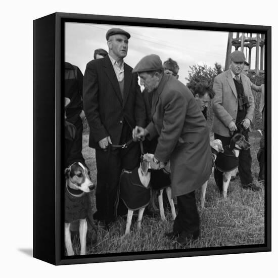 Hound Trailing, One of Cumbrias Oldest and Most Popular Sports, Keswick, 2nd July 1962-Michael Walters-Framed Premier Image Canvas