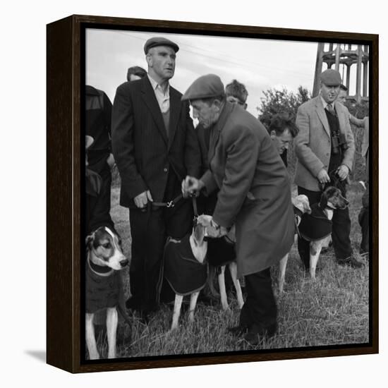 Hound Trailing, One of Cumbrias Oldest and Most Popular Sports, Keswick, 2nd July 1962-Michael Walters-Framed Premier Image Canvas