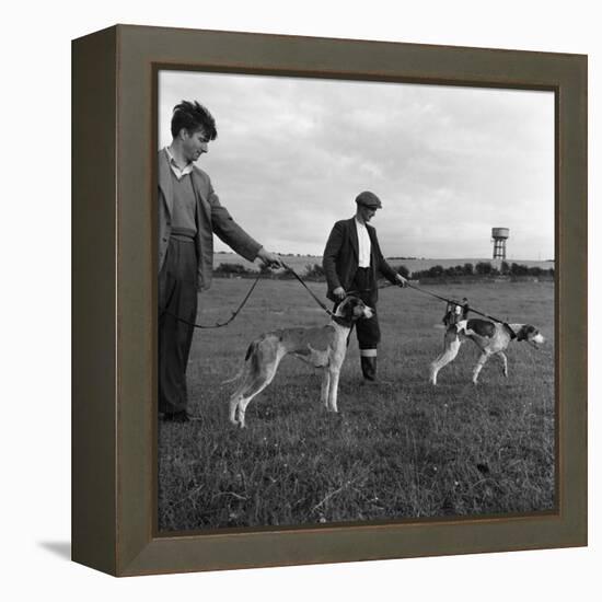 Hound Trailing, One of Cumbrias Oldest and Most Popular Sports, Keswick, 2nd July 1962-Michael Walters-Framed Premier Image Canvas