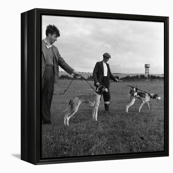 Hound Trailing, One of Cumbrias Oldest and Most Popular Sports, Keswick, 2nd July 1962-Michael Walters-Framed Premier Image Canvas