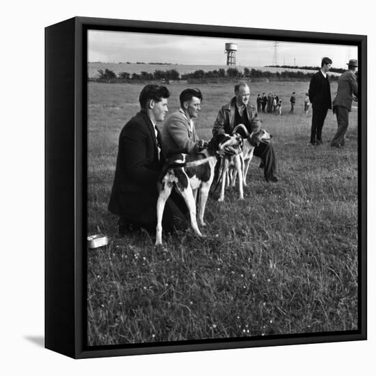 Hound Trailing, One of Cumbrias Oldest and Most Popular Sports, Keswick, 2nd July 1962-Michael Walters-Framed Premier Image Canvas