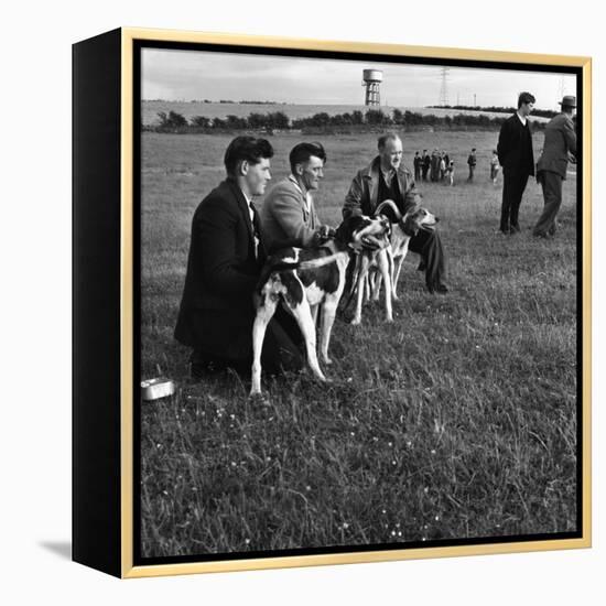 Hound Trailing, One of Cumbrias Oldest and Most Popular Sports, Keswick, 2nd July 1962-Michael Walters-Framed Premier Image Canvas