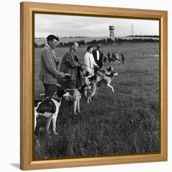 Hound Trailing, One of Cumbrias Oldest and Most Popular Sports, Keswick, 2nd July 1962-Michael Walters-Framed Stretched Canvas