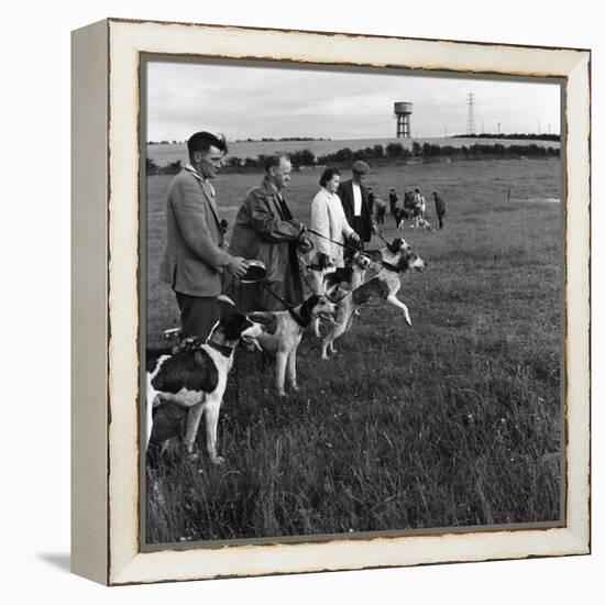 Hound Trailing, One of Cumbrias Oldest and Most Popular Sports, Keswick, 2nd July 1962-Michael Walters-Framed Stretched Canvas