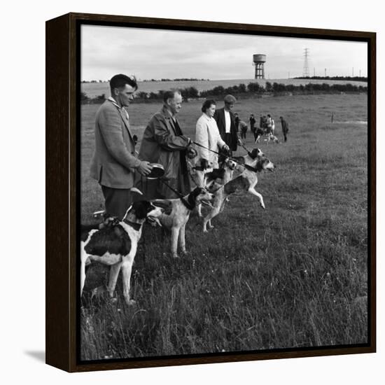 Hound Trailing, One of Cumbrias Oldest and Most Popular Sports, Keswick, 2nd July 1962-Michael Walters-Framed Stretched Canvas