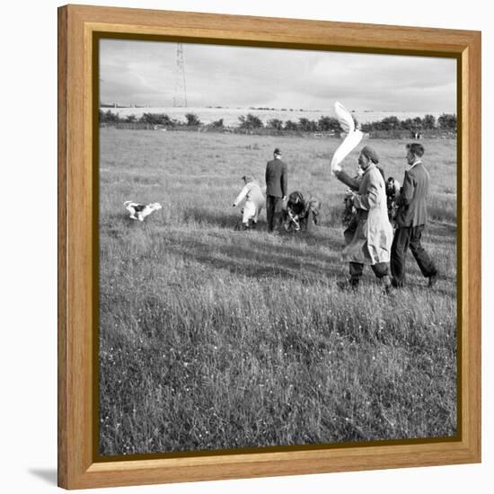 Hound Trailing, One of Cumbrias Oldest and Most Popular Sports, Keswick, 2nd July 1962-Michael Walters-Framed Stretched Canvas