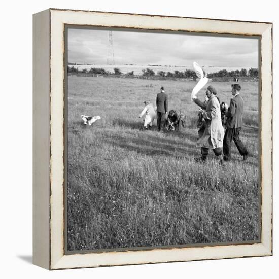 Hound Trailing, One of Cumbrias Oldest and Most Popular Sports, Keswick, 2nd July 1962-Michael Walters-Framed Stretched Canvas
