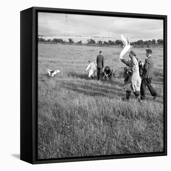 Hound Trailing, One of Cumbrias Oldest and Most Popular Sports, Keswick, 2nd July 1962-Michael Walters-Framed Stretched Canvas