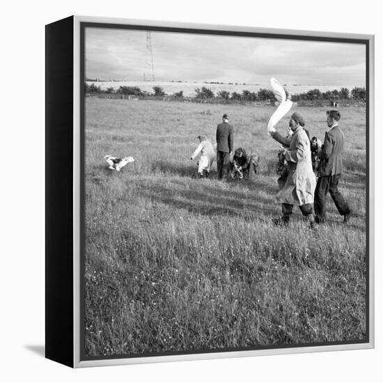 Hound Trailing, One of Cumbrias Oldest and Most Popular Sports, Keswick, 2nd July 1962-Michael Walters-Framed Stretched Canvas