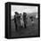 Hound Trailing, One of Cumbrias Oldest and Most Popular Sports, Keswick, 2nd July 1962-Michael Walters-Framed Premier Image Canvas