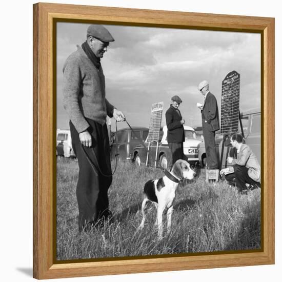 Hound Trailing, One of Cumbrias Oldest and Most Popular Sports, Keswick, 2nd July 1962-Michael Walters-Framed Stretched Canvas