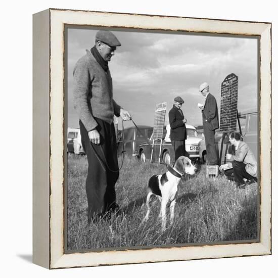 Hound Trailing, One of Cumbrias Oldest and Most Popular Sports, Keswick, 2nd July 1962-Michael Walters-Framed Stretched Canvas