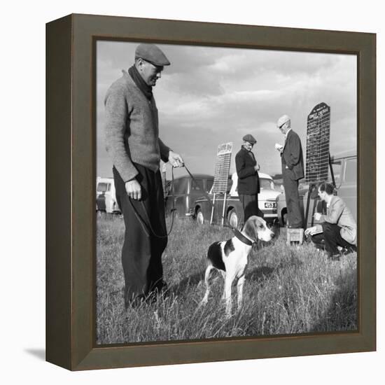 Hound Trailing, One of Cumbrias Oldest and Most Popular Sports, Keswick, 2nd July 1962-Michael Walters-Framed Stretched Canvas