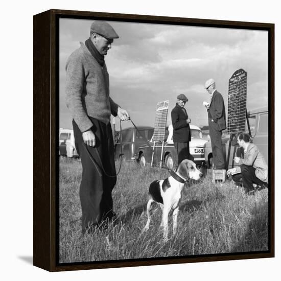 Hound Trailing, One of Cumbrias Oldest and Most Popular Sports, Keswick, 2nd July 1962-Michael Walters-Framed Stretched Canvas