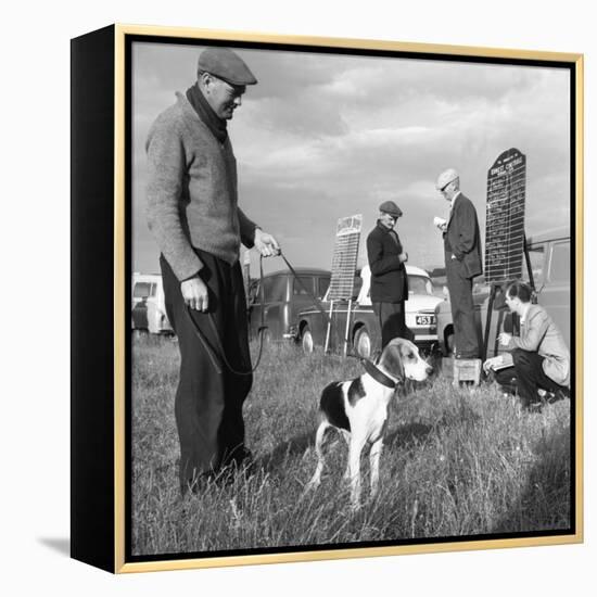 Hound Trailing, One of Cumbrias Oldest and Most Popular Sports, Keswick, 2nd July 1962-Michael Walters-Framed Stretched Canvas