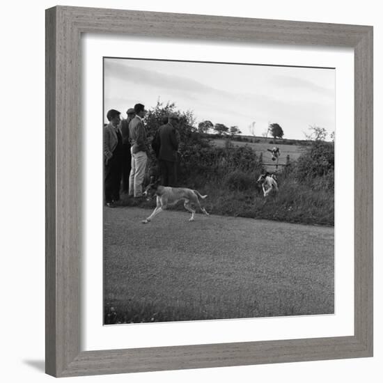 Hound Trailing, One of Cumbrias Oldest and Most Popular Sports, Keswick, 2nd July 1962-Michael Walters-Framed Photographic Print