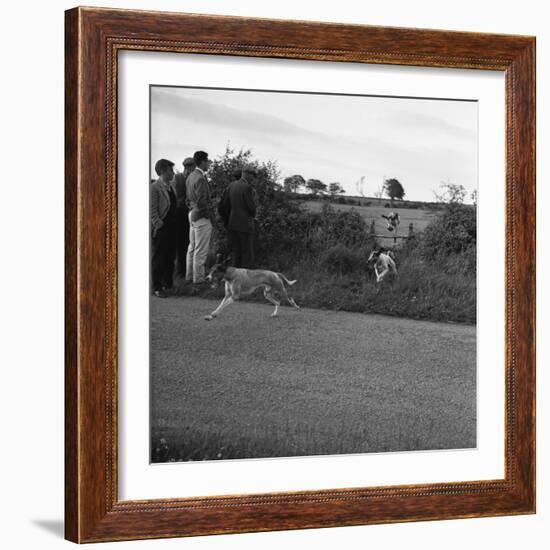 Hound Trailing, One of Cumbrias Oldest and Most Popular Sports, Keswick, 2nd July 1962-Michael Walters-Framed Photographic Print