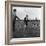 Hound Trailing, One of Cumbrias Oldest and Most Popular Sports, Keswick, 2nd July 1962-Michael Walters-Framed Photographic Print