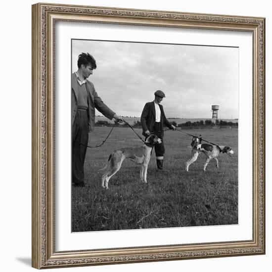 Hound Trailing, One of Cumbrias Oldest and Most Popular Sports, Keswick, 2nd July 1962-Michael Walters-Framed Photographic Print