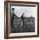 Hound Trailing, One of Cumbrias Oldest and Most Popular Sports, Keswick, 2nd July 1962-Michael Walters-Framed Photographic Print