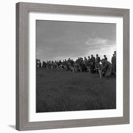 Hound Trailing, One of Cumbrias Oldest and Most Popular Sports, Keswick, 2nd July 1962-Michael Walters-Framed Photographic Print