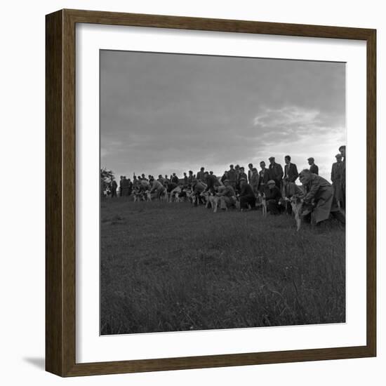 Hound Trailing, One of Cumbrias Oldest and Most Popular Sports, Keswick, 2nd July 1962-Michael Walters-Framed Photographic Print