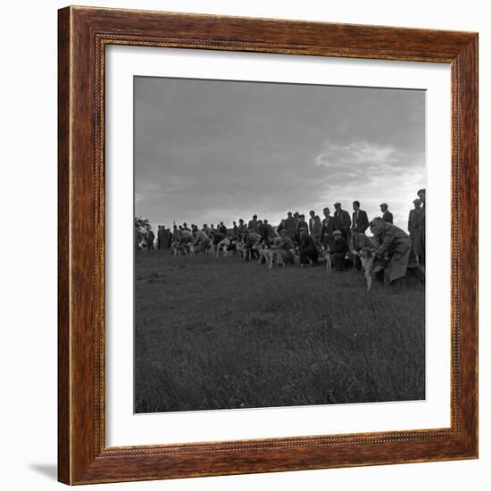 Hound Trailing, One of Cumbrias Oldest and Most Popular Sports, Keswick, 2nd July 1962-Michael Walters-Framed Photographic Print