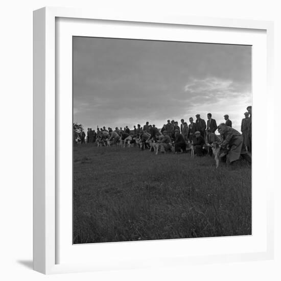 Hound Trailing, One of Cumbrias Oldest and Most Popular Sports, Keswick, 2nd July 1962-Michael Walters-Framed Photographic Print