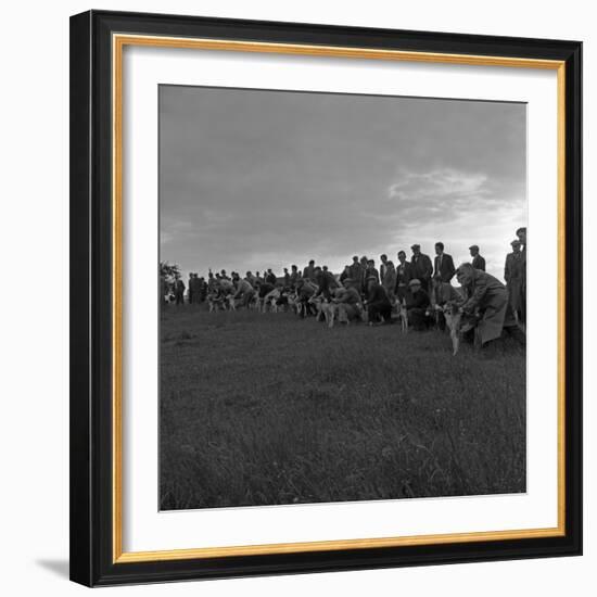 Hound Trailing, One of Cumbrias Oldest and Most Popular Sports, Keswick, 2nd July 1962-Michael Walters-Framed Photographic Print