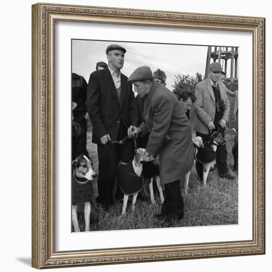 Hound Trailing, One of Cumbrias Oldest and Most Popular Sports, Keswick, 2nd July 1962-Michael Walters-Framed Photographic Print