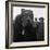 Hound Trailing, One of Cumbrias Oldest and Most Popular Sports, Keswick, 2nd July 1962-Michael Walters-Framed Photographic Print