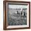 Hound Trailing, One of Cumbrias Oldest and Most Popular Sports, Keswick, 2nd July 1962-Michael Walters-Framed Photographic Print