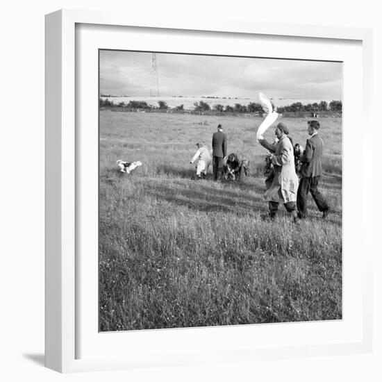 Hound Trailing, One of Cumbrias Oldest and Most Popular Sports, Keswick, 2nd July 1962-Michael Walters-Framed Photographic Print