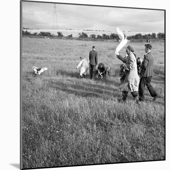 Hound Trailing, One of Cumbrias Oldest and Most Popular Sports, Keswick, 2nd July 1962-Michael Walters-Mounted Photographic Print