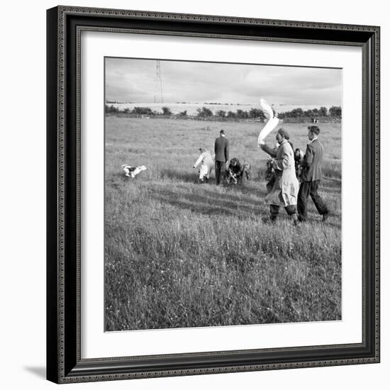 Hound Trailing, One of Cumbrias Oldest and Most Popular Sports, Keswick, 2nd July 1962-Michael Walters-Framed Photographic Print