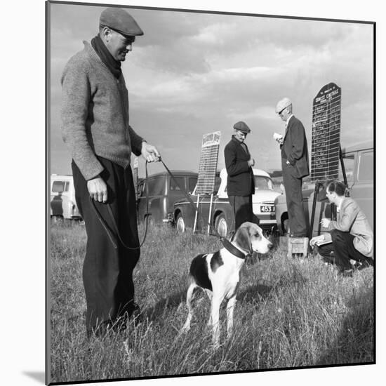 Hound Trailing, One of Cumbrias Oldest and Most Popular Sports, Keswick, 2nd July 1962-Michael Walters-Mounted Photographic Print