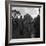 Hound Trailing, One of Cumbrias Oldest and Most Popular Sports, Keswick, 2nd July 1962-Michael Walters-Framed Photographic Print