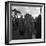 Hound Trailing, One of Cumbrias Oldest and Most Popular Sports, Keswick, 2nd July 1962-Michael Walters-Framed Photographic Print