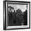 Hound Trailing, One of Cumbrias Oldest and Most Popular Sports, Keswick, 2nd July 1962-Michael Walters-Framed Photographic Print