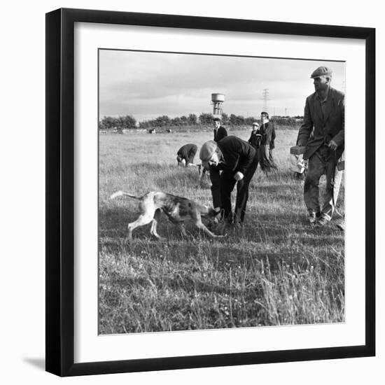 Hound Trailing, One of Cumbrias Oldest and Most Popular Sports, Keswick, 2nd July 1962-Michael Walters-Framed Photographic Print