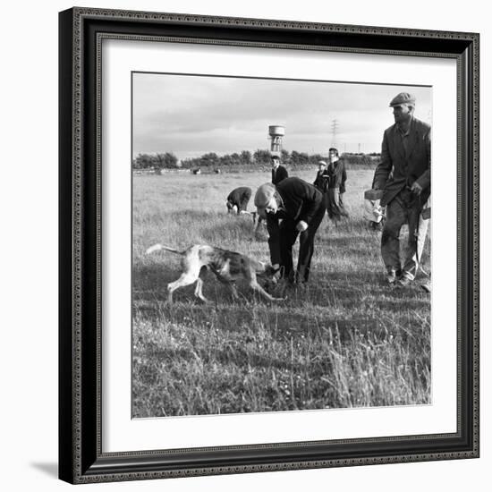 Hound Trailing, One of Cumbrias Oldest and Most Popular Sports, Keswick, 2nd July 1962-Michael Walters-Framed Photographic Print